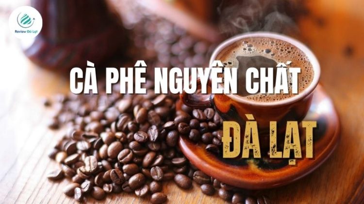 Các loại cà phê nguyên chất Đà Lạt? Nơi bán cà phê nguyên chất