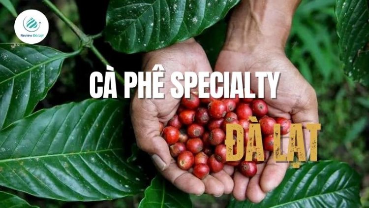 Cà phê Specialty Đà Lạt là gì? Trải nghiệm cà phê Specialty ngay
