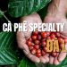 Cà phê Specialty Đà Lạt là gì? Trải nghiệm cà phê Specialty ngay