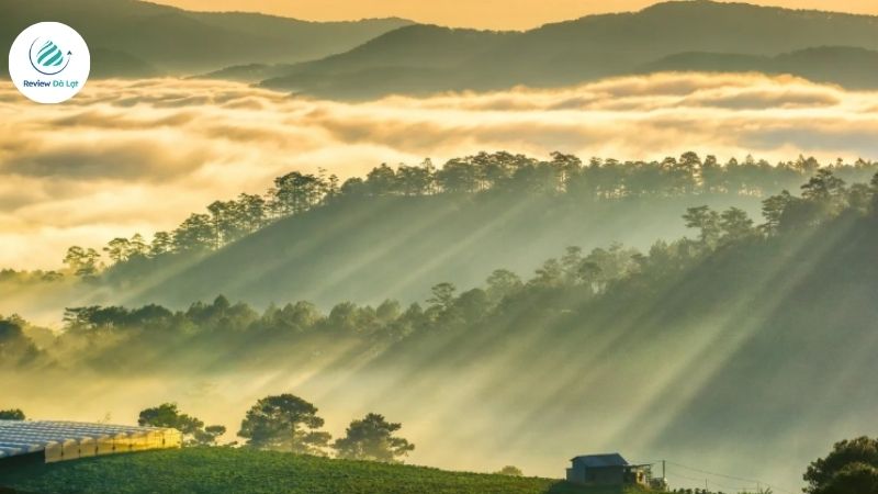 Chiêm ngưỡng khung cảnh tuyệt đẹp tại Đà Lạt mùa thu