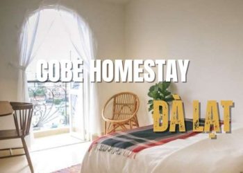 Cobe homestay Đà Lạt: Tìm lại bình yên giữa phố mộng mơ