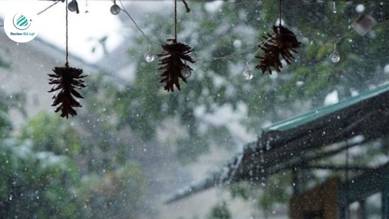 Cơn mưa ở Đà Lạt thường chỉ ghé qua vào đầu giờ chiều hoặc tối