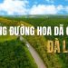 Mê mẩn với top 5 cung đường hoa dã quỳ Đà Lạt đẹp rực rỡ