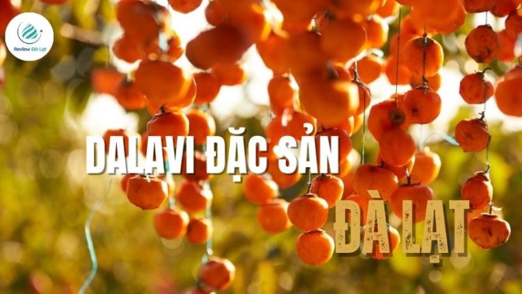 Dalavi đặc sản Đà Lạt: Review chất lượng các dòng sản phẩm