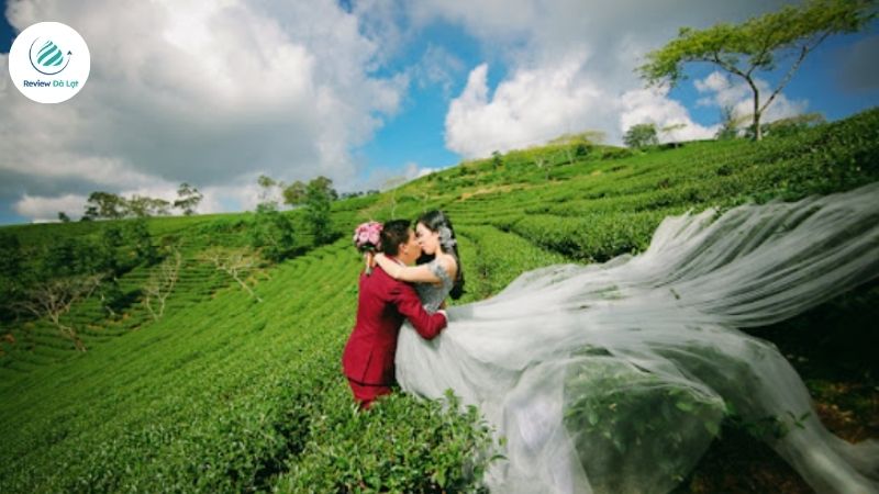 Đồi Chè Cầu Đất nơi vẻ đẹp thiên nhiên và sự lãng mạn hòa quyện làm một