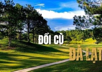 Khám phá Đồi Cù Đà Lạt - Điểm check-in xanh mát giữa phố núi