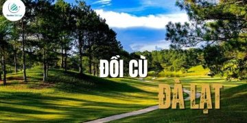 Khám phá Đồi Cù Đà Lạt - Điểm check-in xanh mát giữa phố núi