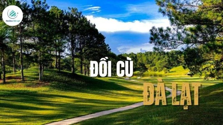 Khám phá Đồi Cù Đà Lạt - Điểm check-in xanh mát giữa phố núi