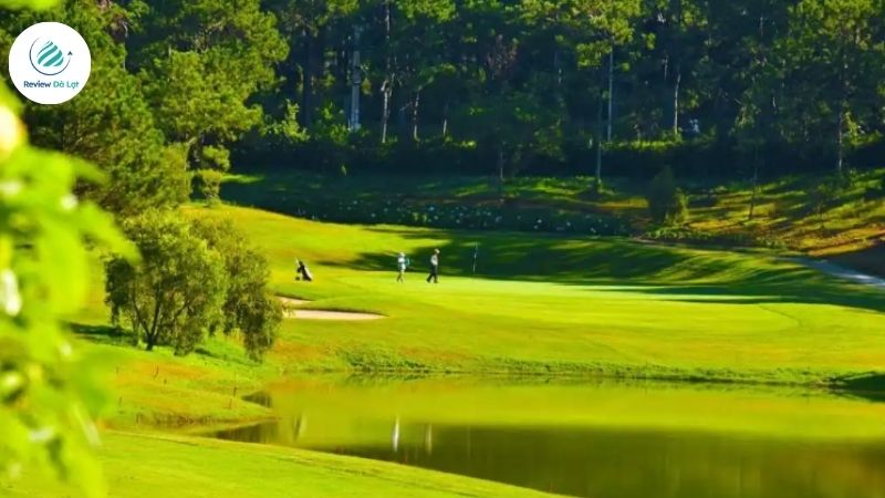 Đồi Cù được tô điểm bởi thảm cỏ xanh mướt, hoa nở rực rỡ bốn mùa