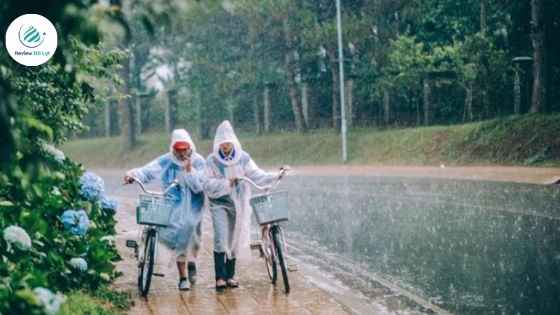 Du khách nên tận dụng buổi sáng để tham quan vì mưa thường đến vào chiều