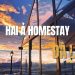 Hai Ả homestay - Đắm mình trong cảnh núi rừng thiên nhiên
