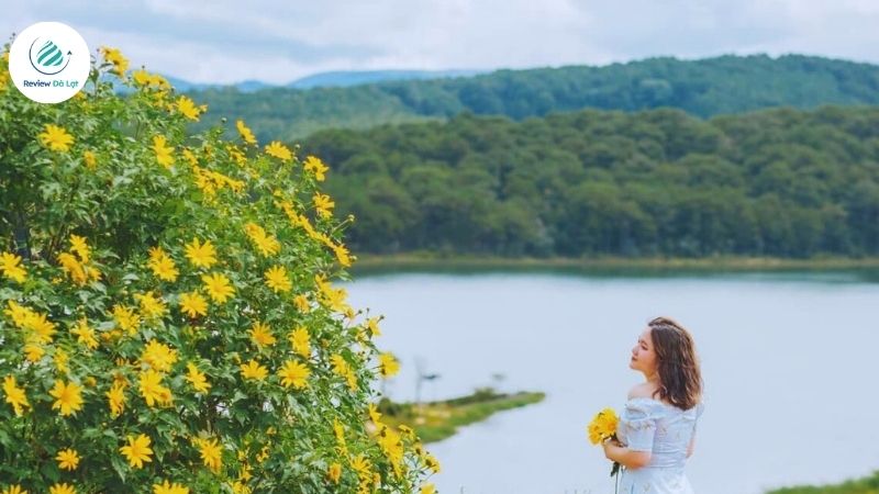 Hai bên đường với sắc vàng rực rỡ tạo nên khung cảnh đầy chất thơ