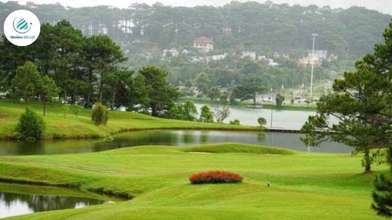 Hành trình khám phá Đồi Cù với một vài mẹo nhỏ