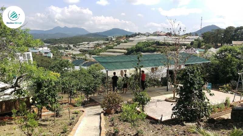 Khu vực sân vườn rộng rãi của căn homestay