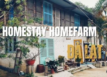Homestay Homefarm Đà Lạt: Nghỉ dưỡng yên tĩnh với view đẹp mắt