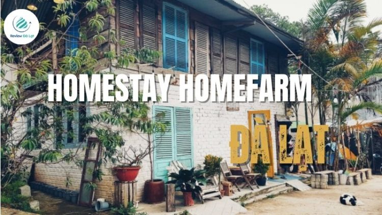 Homestay Homefarm Đà Lạt: Nghỉ dưỡng yên tĩnh với view đẹp mắt