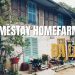 Homestay Homefarm Đà Lạt: Nghỉ dưỡng yên tĩnh với view đẹp mắt