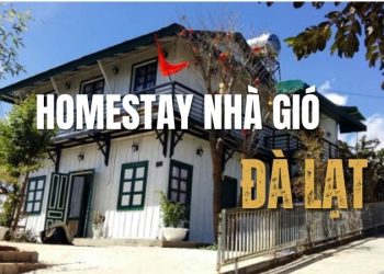 Homestay Nhà Gió Đà Lạt: Mộc mạc và yên bình giữa đồi thông