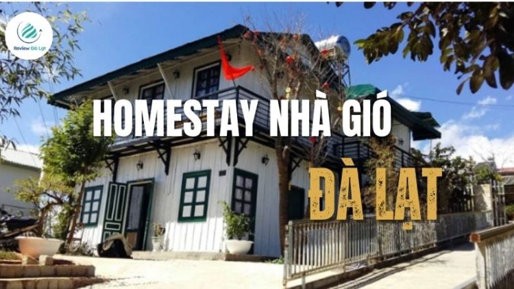 Homestay Nhà Gió Đà Lạt: Mộc mạc và yên bình giữa đồi thông