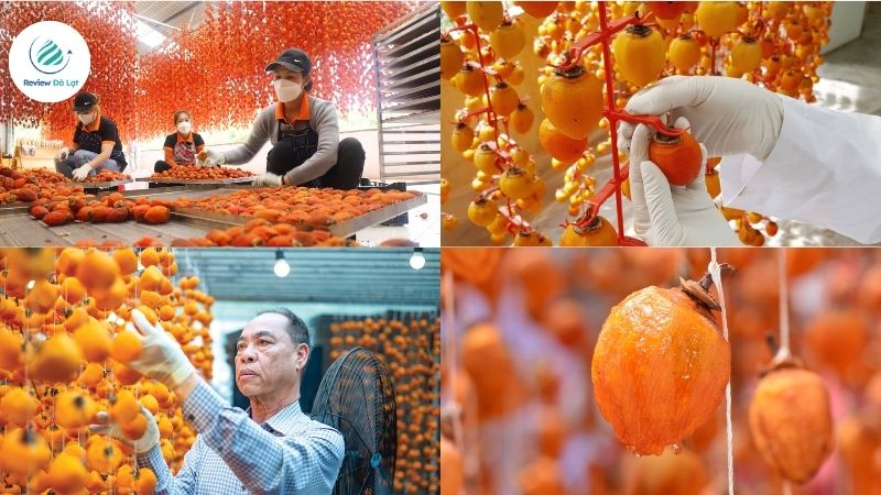 Hồng treo gió Đà Lạt