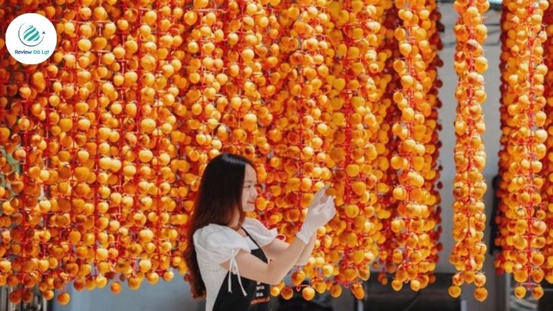 Hồng treo gió Đà Lạt