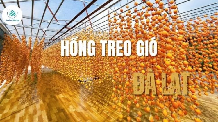Hồng treo gió Đà Lạt