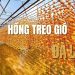 Hồng treo gió Đà Lạt