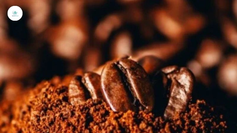 Hương vị arabica