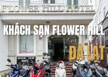 Khám phá khách sạn Flower Hill Đà Lạt: Phòng đẹp, view xịn, giá tốt 