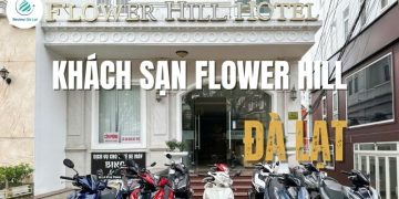 Khám phá khách sạn Flower Hill Đà Lạt: Phòng đẹp, view xịn, giá tốt 
