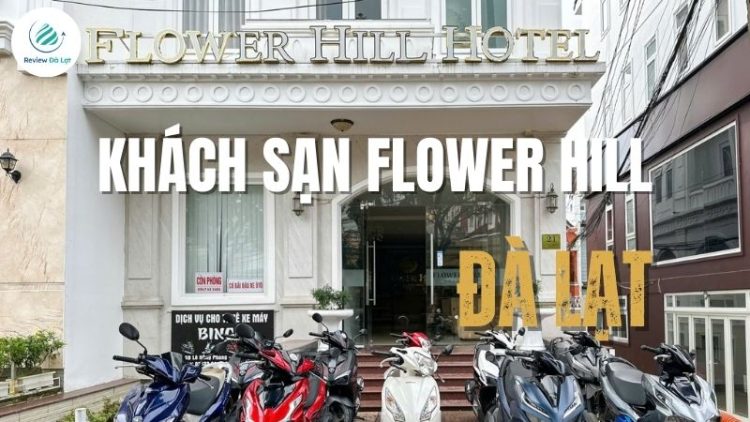 Khám phá khách sạn Flower Hill Đà Lạt: Phòng đẹp, view xịn, giá tốt 
