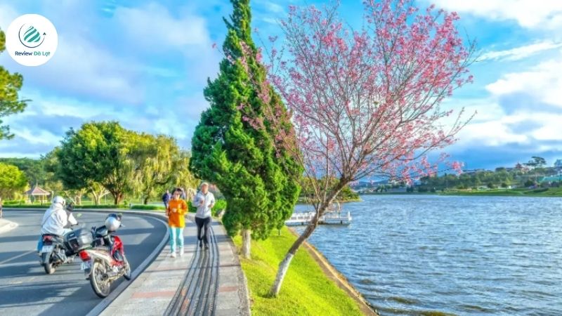 Khám phá những địa điểm du lịch mùa thu tại Đà Lạt