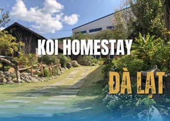 Review Koi Homestay Đà Lạt – Nghỉ dưỡng giữa hồ cá Koi yên bình