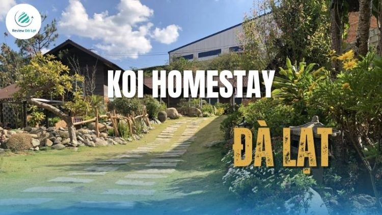 Review Koi Homestay Đà Lạt – Nghỉ dưỡng giữa hồ cá Koi yên bình