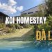 Review Koi Homestay Đà Lạt – Nghỉ dưỡng giữa hồ cá Koi yên bình