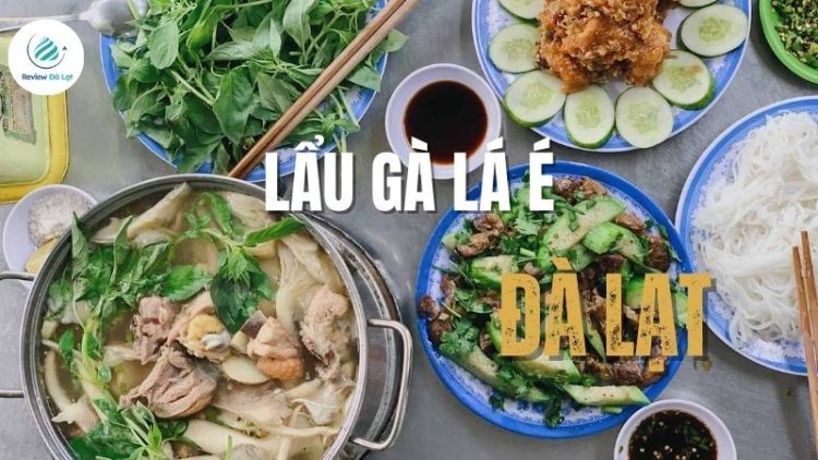 lẩu gà lá é đà lạt