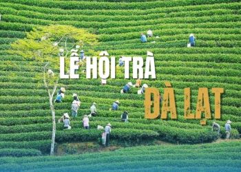 lễ hội trà đà lạt​