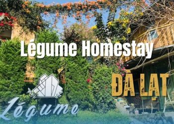 Légume Homestay - Hòa mình cùng những tán thông ngát