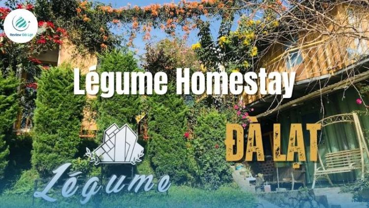 Légume Homestay - Hòa mình cùng những tán thông ngát