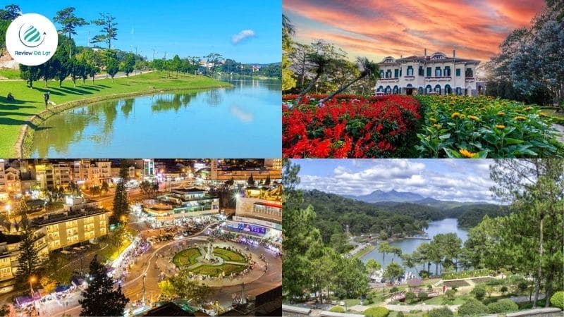lengkeng đà lạt homestay
