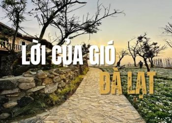 Lời của gió Đà Lạt