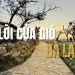 Lời của gió Đà Lạt