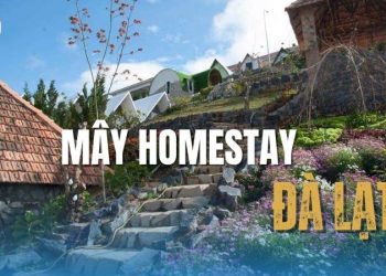Mây homestay Đà Lạt– Điểm nghỉ dưỡng lý tưởng cho bạn