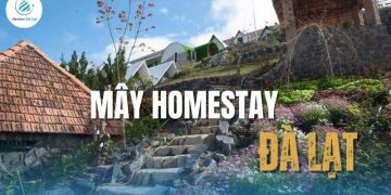 Mây homestay Đà Lạt– Điểm nghỉ dưỡng lý tưởng cho bạn