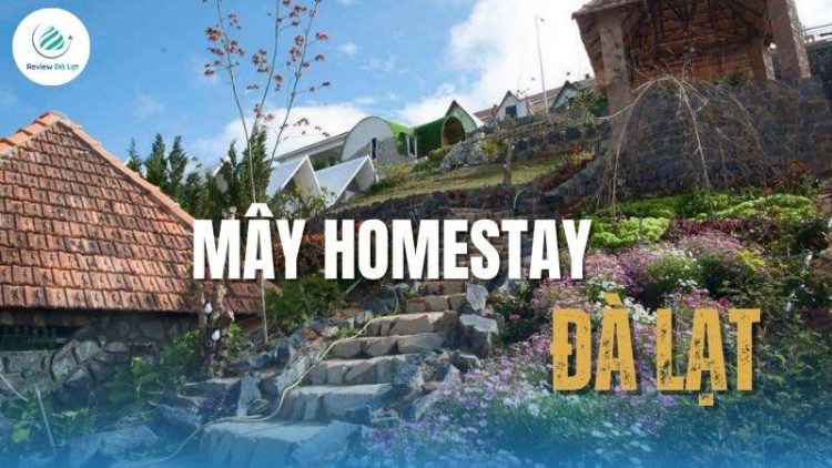 Mây homestay Đà Lạt– Điểm nghỉ dưỡng lý tưởng cho bạn
