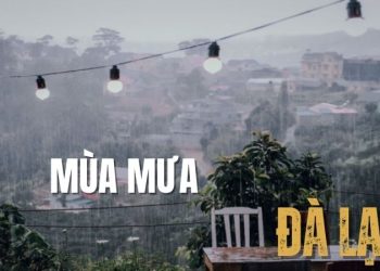 Mùa mưa Đà Lạt - Ngắm phố núi dịu dàng trong sương lạnh