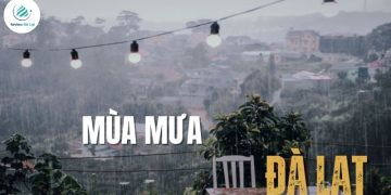 Mùa mưa Đà Lạt - Ngắm phố núi dịu dàng trong sương lạnh