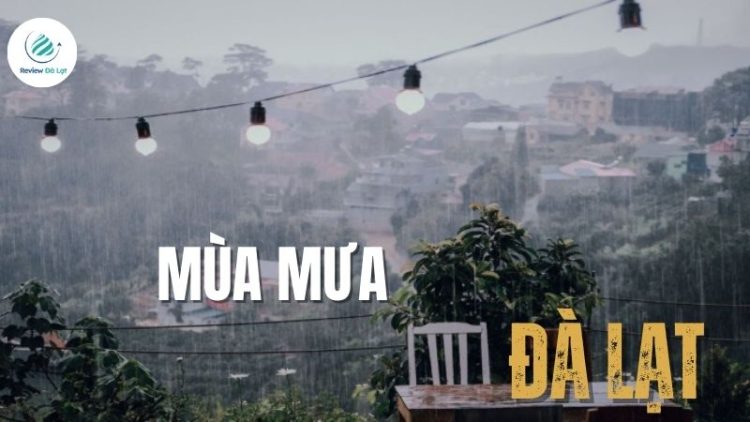 Mùa mưa Đà Lạt - Ngắm phố núi dịu dàng trong sương lạnh