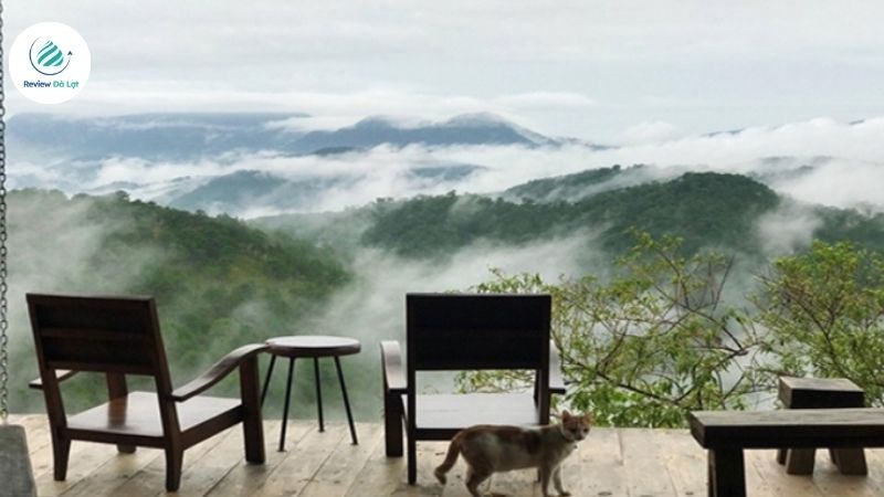 Mùa mưa ở Đà Lạt là thời điểm lý tưởng để săn mây