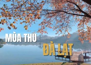 Mùa thu Đà Lạt: Lạc lối trong vẻ đẹp của thành phố ngàn hoa